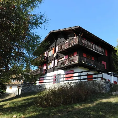 Spacious In Near Ski Trail * Riederalp
